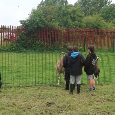 Big Lunch on The Farm